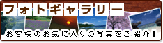 フォトギャラリー